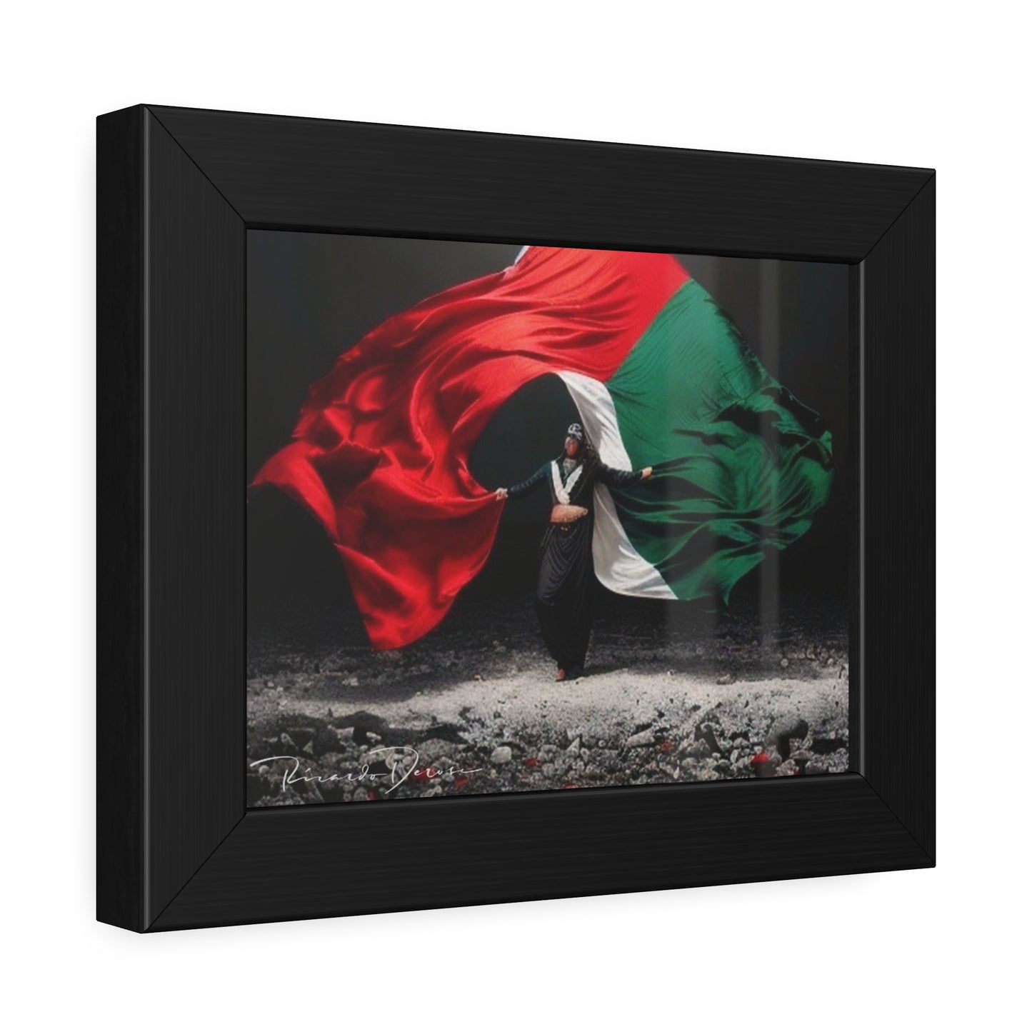 Palestine Flag Framed Poster