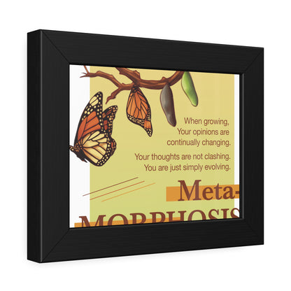 Metamorphosis Framed Paper Posters