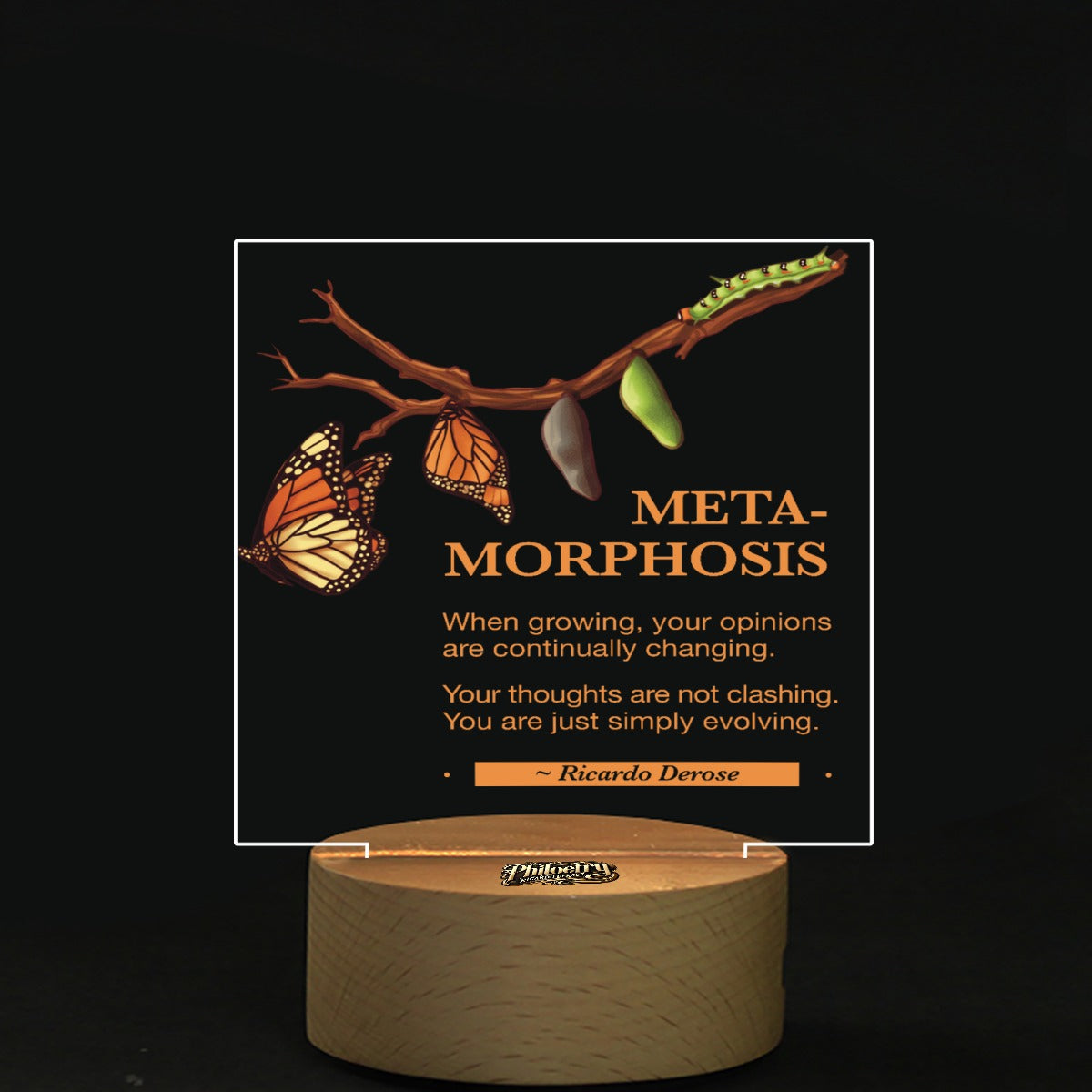 Metamorphosis - Square Shape Acrylic board with Light