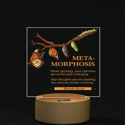 Metamorphosis - Square Shape Acrylic board with Light
