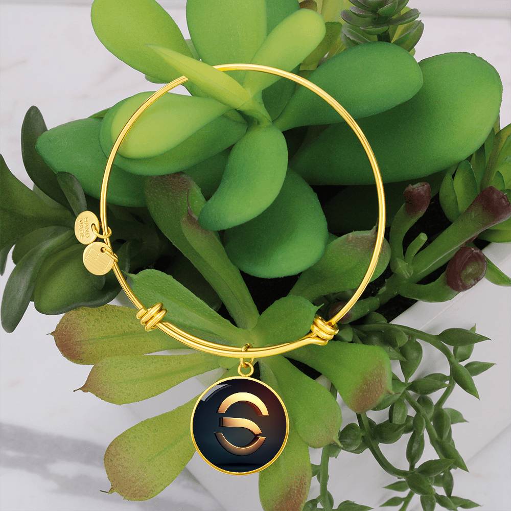 Symbol of Equality Circle Bangle - Derose Entertainment 